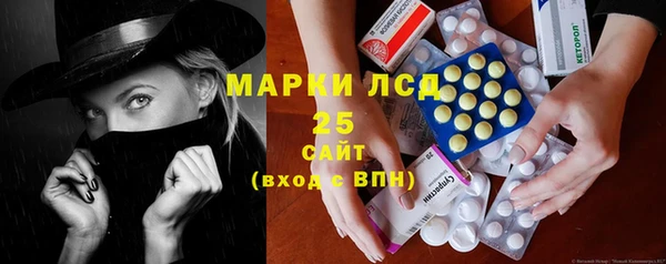 ГАЛЛЮЦИНОГЕННЫЕ ГРИБЫ Алзамай