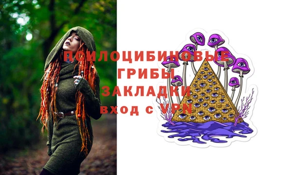ПСИЛОЦИБИНОВЫЕ ГРИБЫ Алексеевка