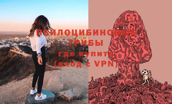 дурь Абинск