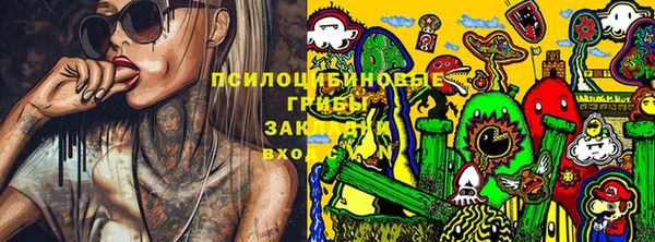 метадон Алексин