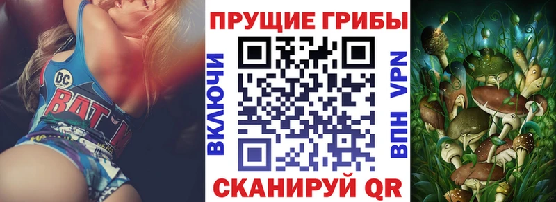 Псилоцибиновые грибы GOLDEN TEACHER  Пыталово 